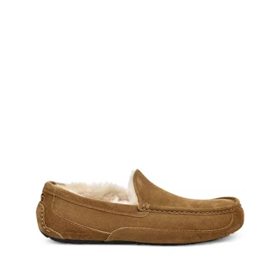 UGG SHOE