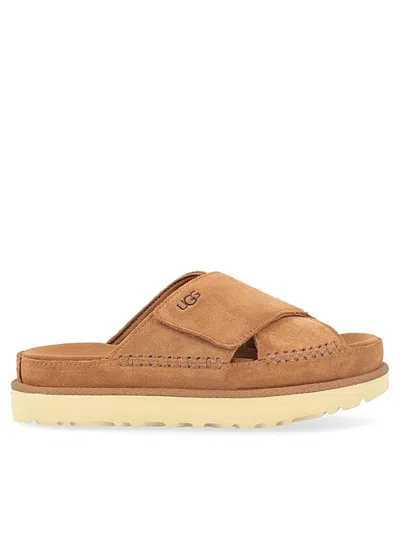 Ugg Shoes In Brown