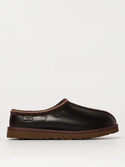 Ugg Shoes  Men Color Brown