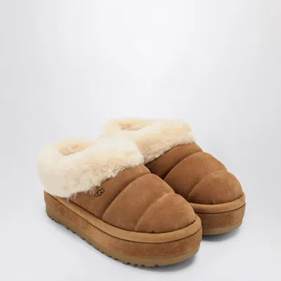 Ugg Slide W Tazzlita Chestnut Suede In Brown