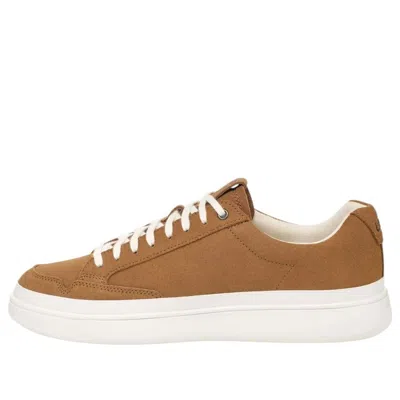 UGG UGG South Bay Low 'Chestnut'