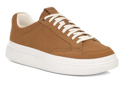 Ugg South Bay Sneaker Low Suede In Multi
