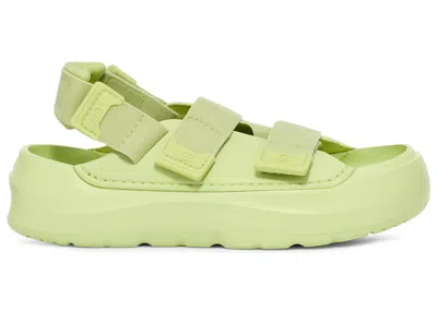 Pre-owned Ugg Stratus Sandal (women's) Sneakers In Caterpillar In Green