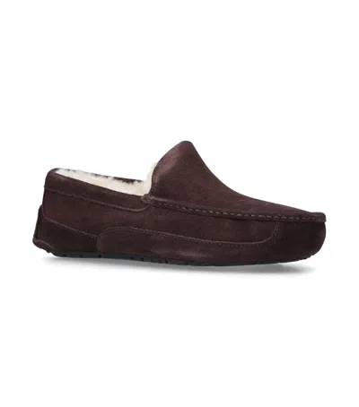 UGG SUEDE ASCOT SLIPPERS