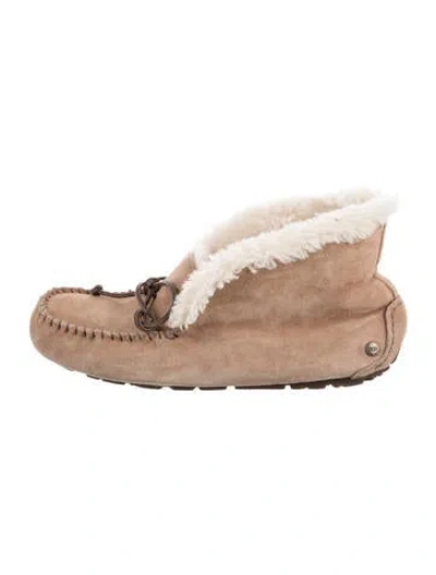 Pre-owned Ugg Suede Bow Accents Lace-up Boots In Brown
