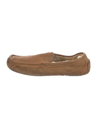 Pre-owned Ugg Suede Drivers In Brown