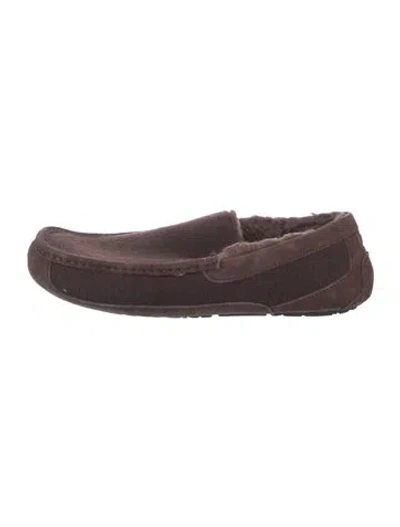Pre-owned Ugg Suede Drivers In Brown