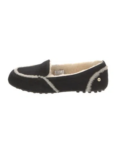Pre-owned Ugg Suede Flats In Black