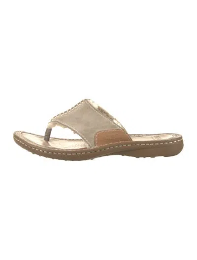 Pre-owned Ugg Suede Flip Flops In Brown/neutrals