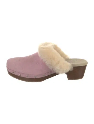 Pre-owned Ugg Suede Fur Trim Mules W/ Tags In Purple