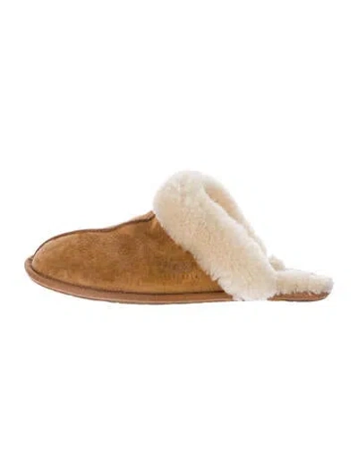 Pre-owned Ugg Suede Mules In Brown