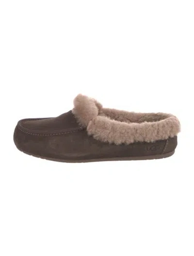 Pre-owned Ugg Suede Mules In Brown