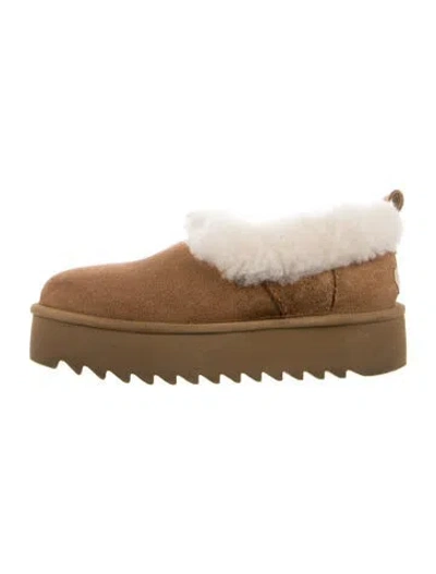 Pre-owned Ugg Suede Mules In Multi