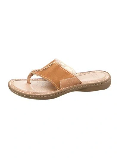 Pre-owned Ugg Suede Slides In Brown