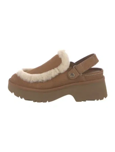 Pre-owned Ugg Suede Sneakers In Brown