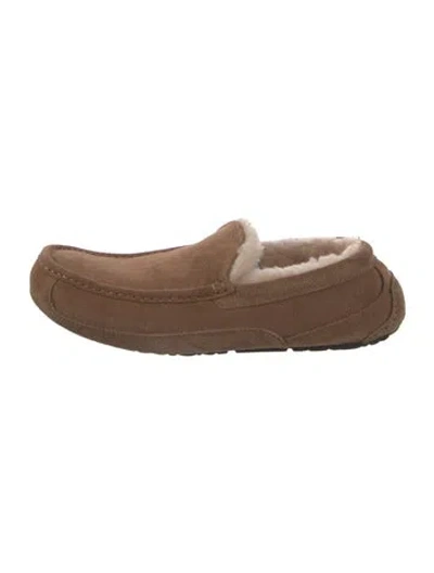 Pre-owned Ugg Suede Tweed Pattern Drivers In Brown