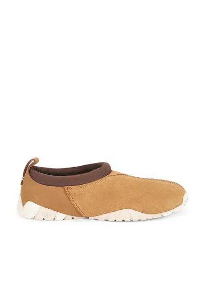 Ugg Tasman Flex In Brown