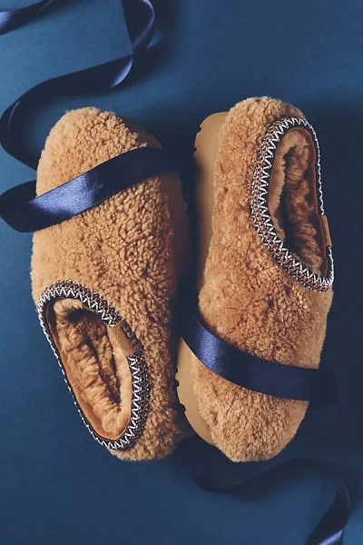 Ugg Tasman Maxi Curly Slippers In Brown