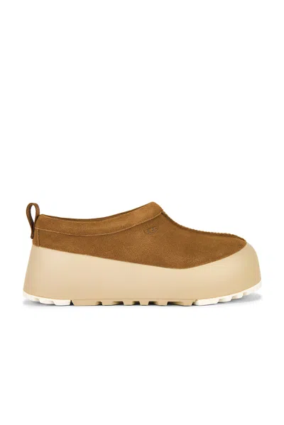 Ugg Tasman Streetscape Slipper In Brown