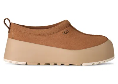 Pre-owned Ugg Tasman Streetscape Slipper (women's) Sneakers In Chestnut/mustard Seed
