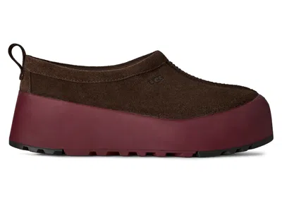 Pre-owned Ugg Tasman Streetscape Slipper (women's) Sneakers In Dusted Cocoa/wild Grape
