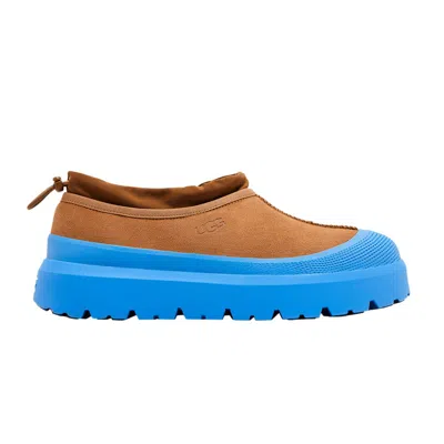 Pre-owned Ugg Tasman Weather Hybrid Slipper 'chestnut Big Sky'