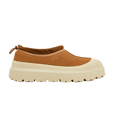 Pre-owned Ugg Tasman Weather Hybrid Slipper 'chestnut Whitecap' In Brown