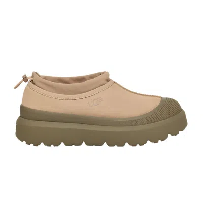 Pre-owned Ugg Tasman Weather Hybrid Slipper 'dune Burnt Olive'