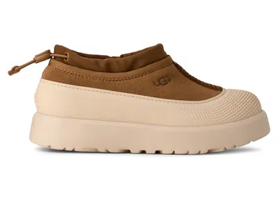 Pre-owned Ugg Tasman Weather Hybrid Slipper (kids) Sneakers In Chestnut/whitecap In Multi