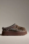 Ugg Tazz Caspian Leopard-print Platform Mules In Brown
