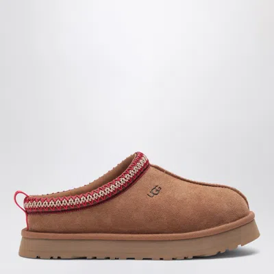 Ugg Tazz Chestnut Slipper In Brown