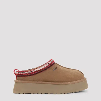 UGG TAZZ II SLIPPERS