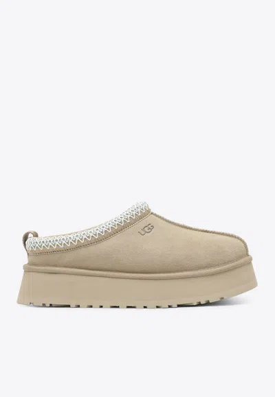 Ugg Here's The Translation Of "sabot Tazz Ii" From Italian (it) To English (en):<br /><br />"sabot T In Neutral
