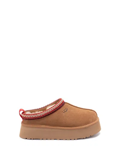 Ugg `tazz Ii` Slippers In Brown