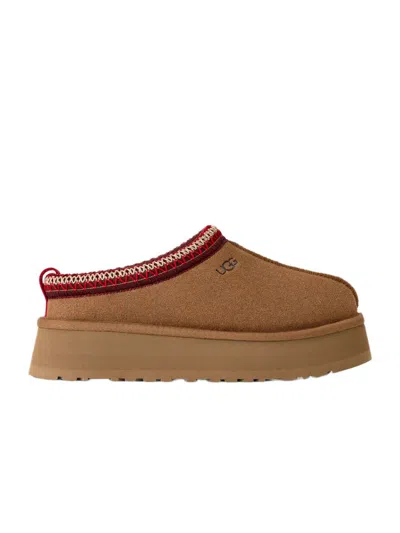 Ugg "tazz Ii" Slippers In Brown