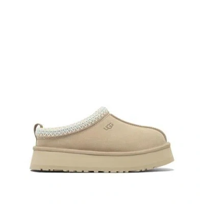 Ugg Here's The Translation Of "sabot Tazz Ii" From Italian (it) To English (en):<br /><br />"sabot T In Neutral