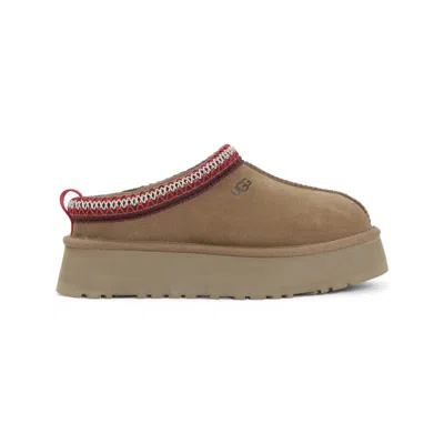 Ugg Tazz Ii Suede Slippers With Mutton Lining In Brown