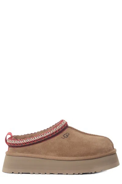 Ugg Tazz Embroidered Shearling Platform Slippers In Brown