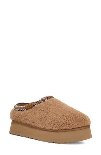 Ugg ® Tazz Maxi Curly Genuine Shearling Platform Slipper In Chestnut
