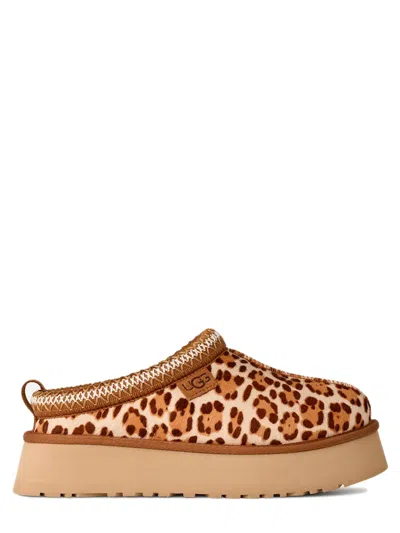 Ugg Tazz Plains Slippers Felicity Leopard Jasmine In Multi