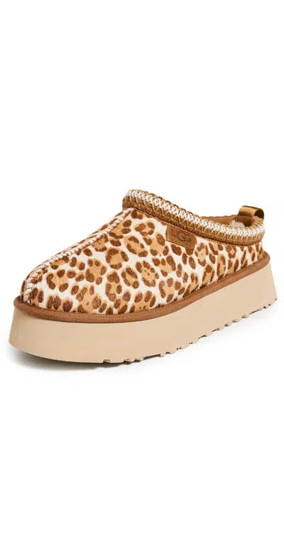 UGG TAZZ PLAINS SLIPPERS FELICITY LEOPARD JASMINE