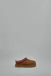 Ugg Tazz Platform Slipper In Brown