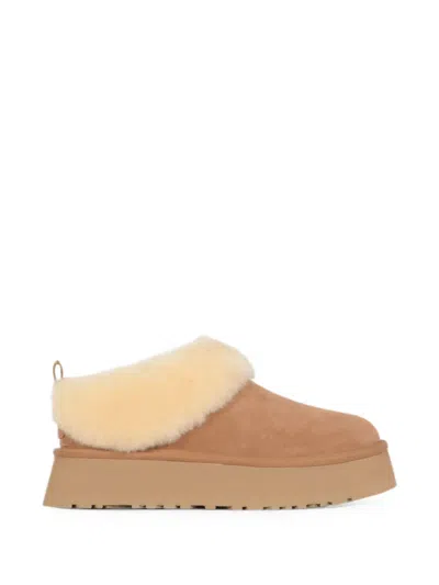 Ugg Tazzelle Boots In Brown