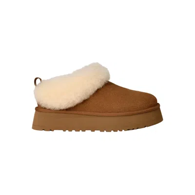 Ugg Tazzelle 1171393-che Slipper Women's Chestnut Suede Slip On Platform Gug154 In Brown