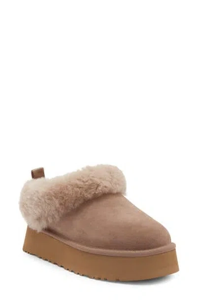 Ugg Logo Mules In Brown