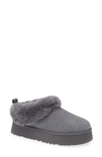 Ugg ® Tazzelle Genuine Shearling Collar Slipper In Gray
