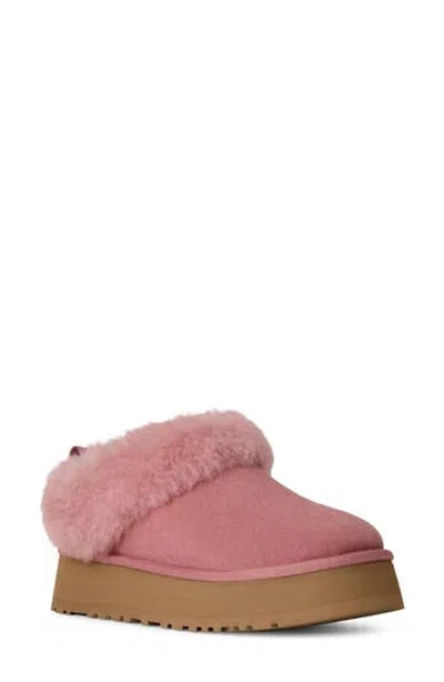 Ugg ® Tazzelle Genuine Shearling Collar Slipper In Pink Dawn