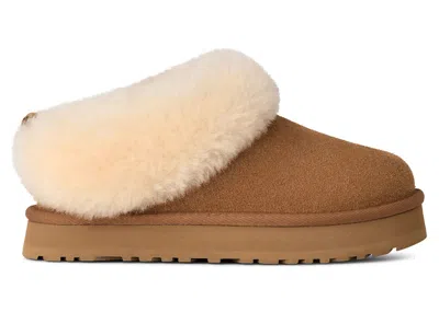 Pre-owned Ugg Tazzelle Slipper (kids) Sneakers In Chestnut In Brown