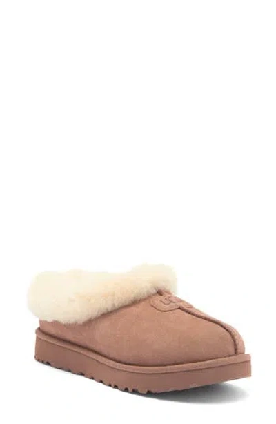 Ugg ® Tazzette Genuine Shearling Collar Slipper In Brown