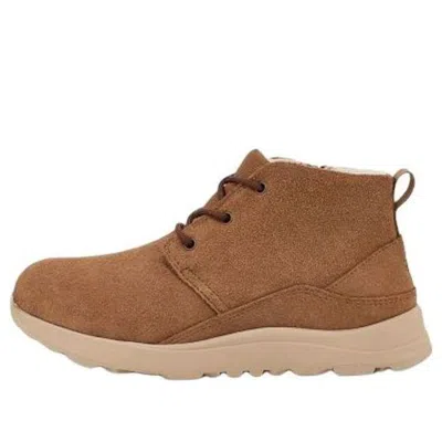 Ugg (td)  Canoe Iii Weather Boot 'chestnut Suede'